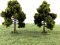 2x große Bäume solitär grün Laubbäume mit Fuß Modellbahn 12cm H0