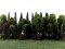 Set 50x Bäume grün Mischwald Modellbahn 4-13cm Spur H0