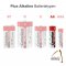 Camelion Mignon Alkaline Plus LR6 / AA, Batterien, 4er Pack