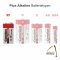 CAMELION 9 Volt Block Batterie Alkaline Plus 6LR61